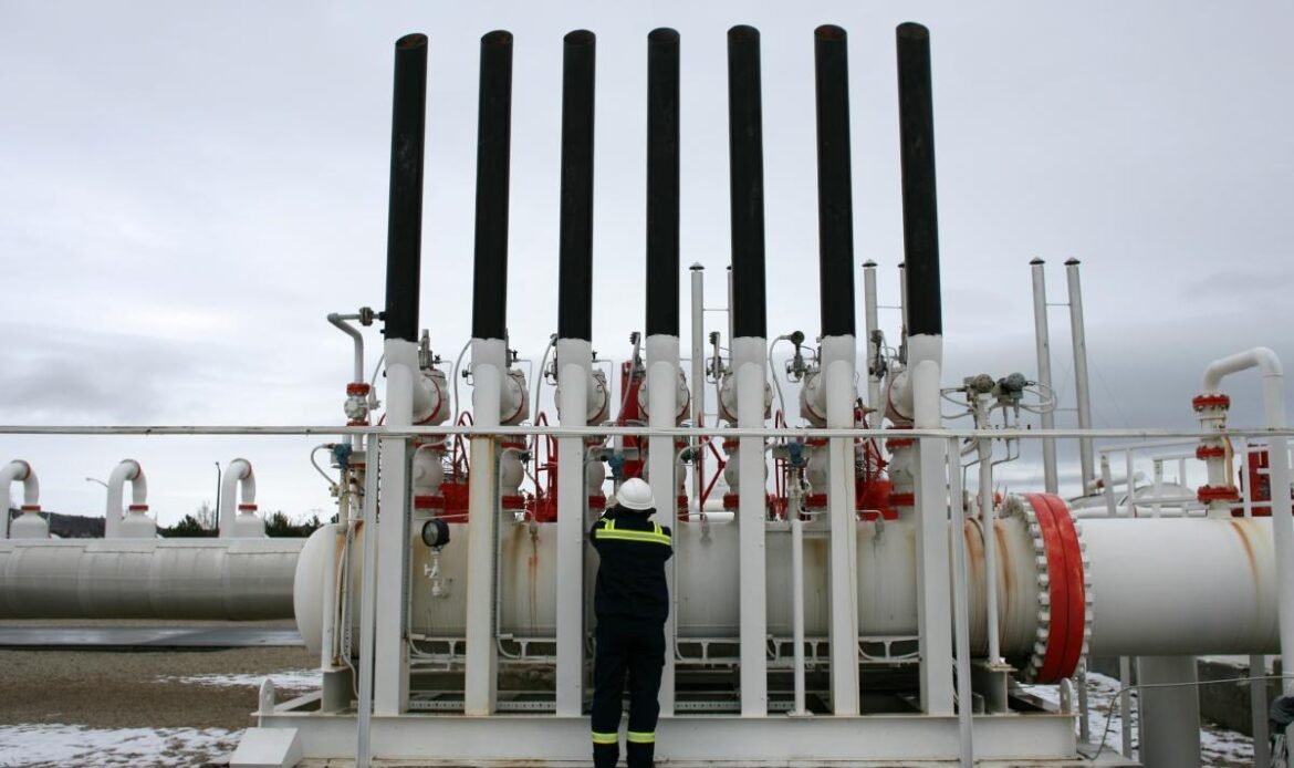 Turkey in talks on new gas supplies from Russia – Ankara