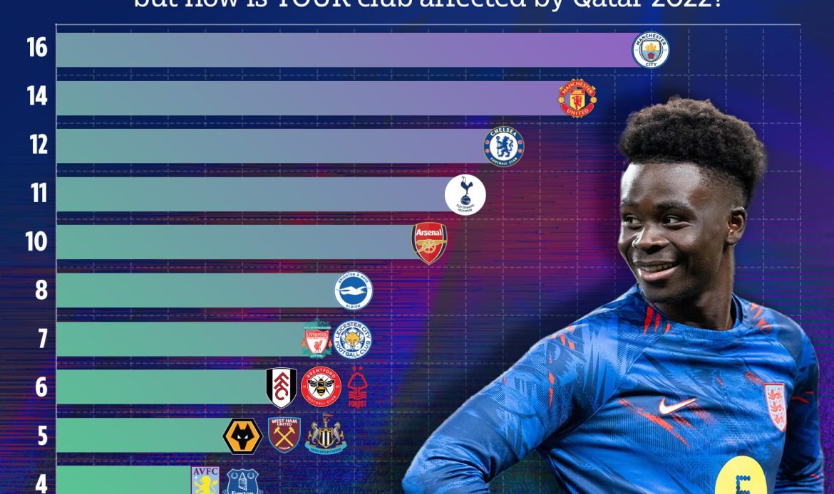 Premier League players at the 2022 World Cup