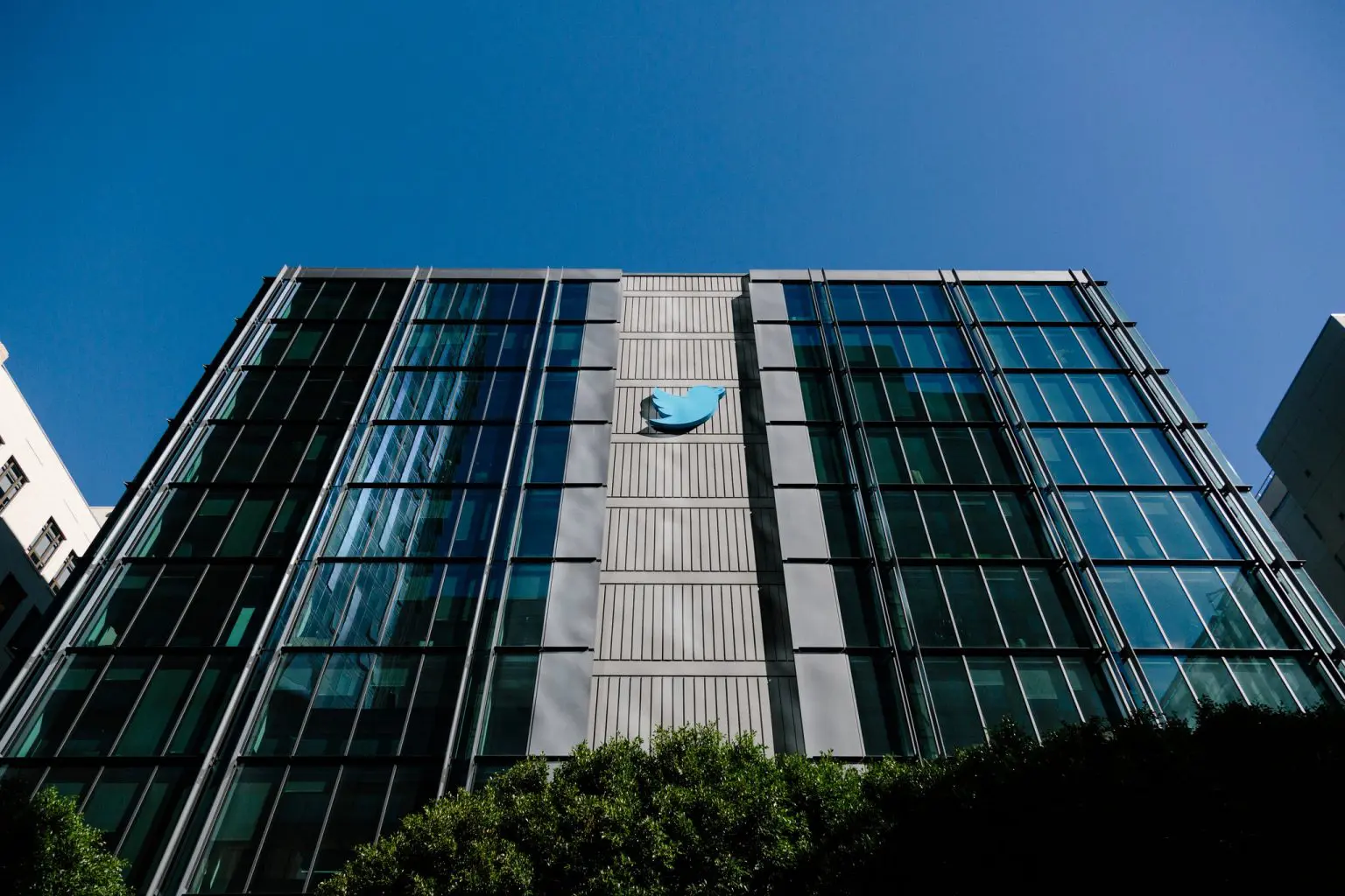 Twitter battles wave of impersonators after launching new paid verification system