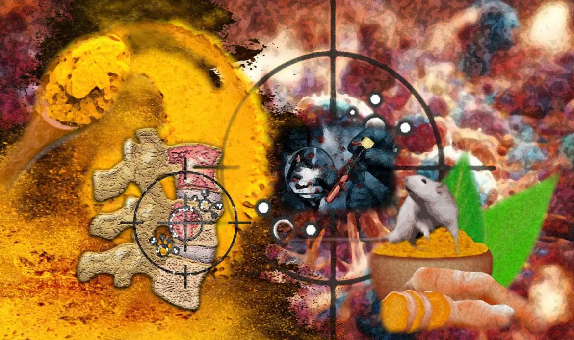 Anti-Tumor Effects Without Toxicities: Researchers Use a Spice To Treat Cancer