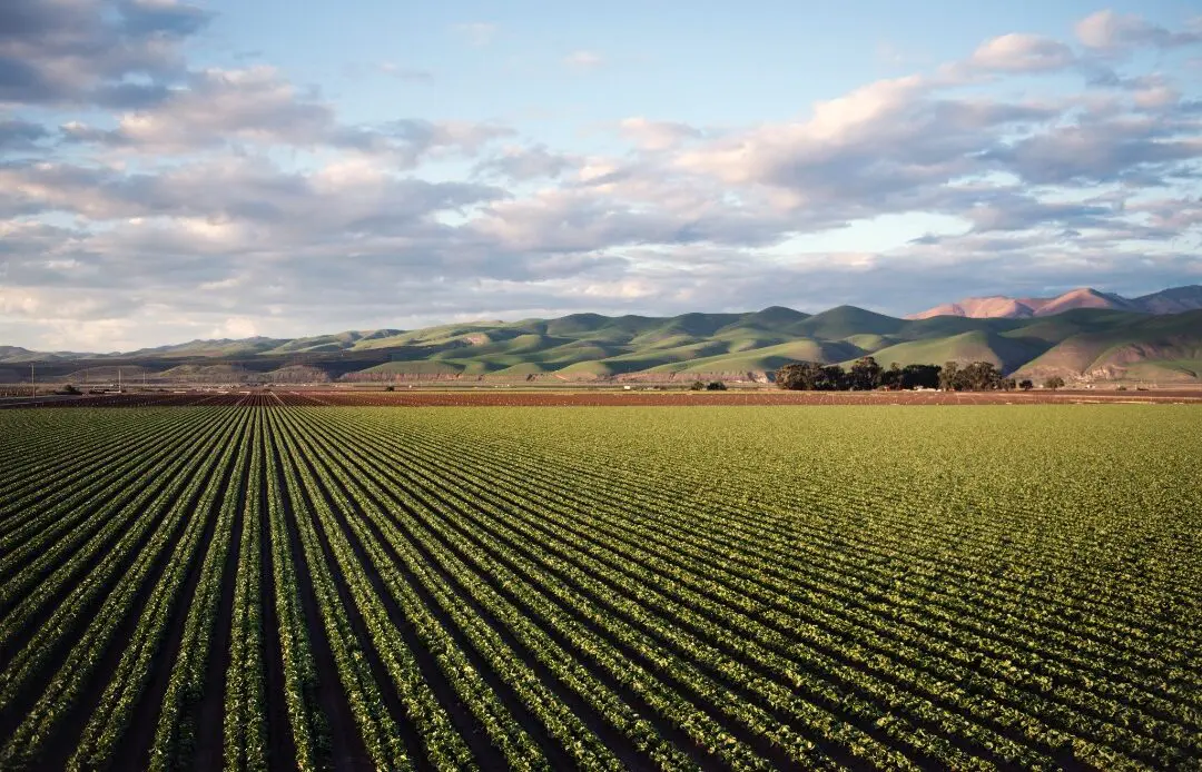 Grain sales by Russian agricultural businesses rise by 7.4% in 2022.