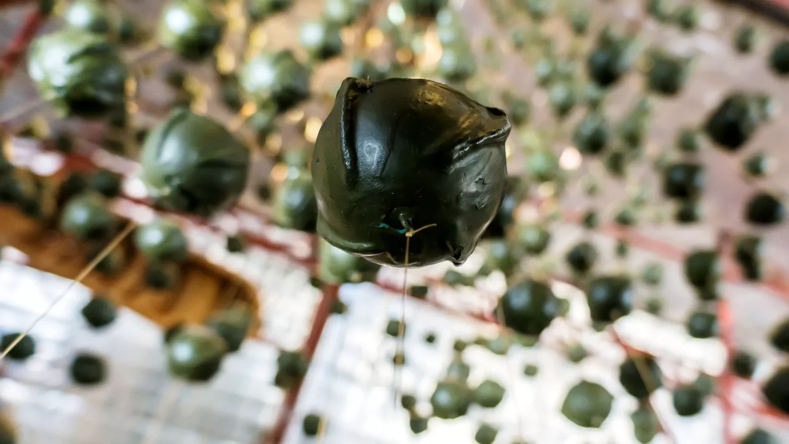 US Should Provide Cluster Bombs to Ukraine – Congressman