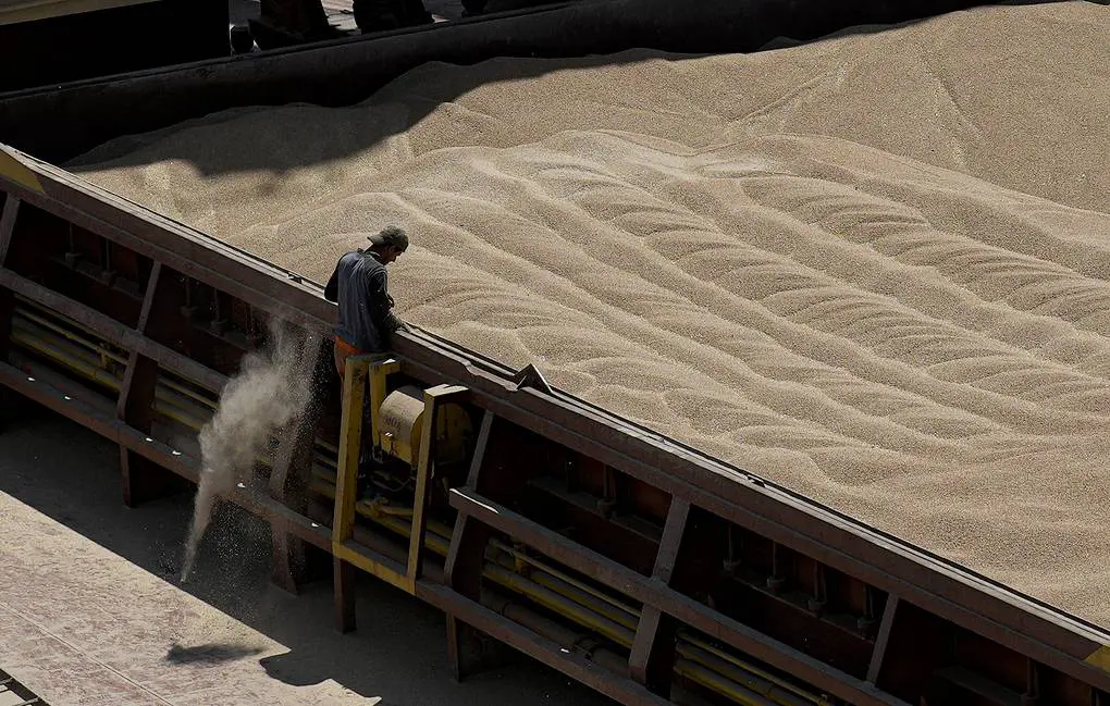 Slovakia to temporarily ban Ukrainian grain imports — newspaper