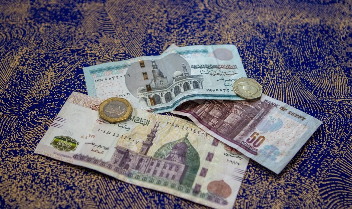 Disclosure of the list of the top 10 countries investing in Egypt