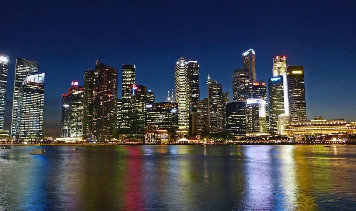 Singapore urges secrecy over origins of wealth flows