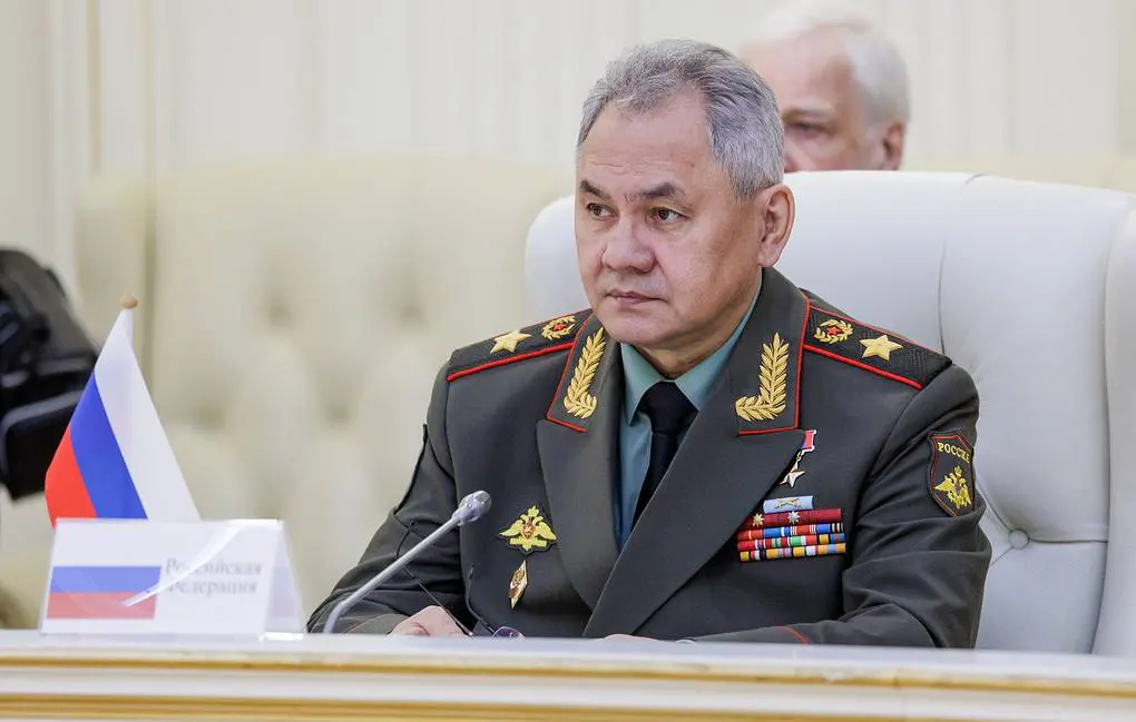 US wants to destabilize whole region using terrorists in Afghanistan — Shoigu