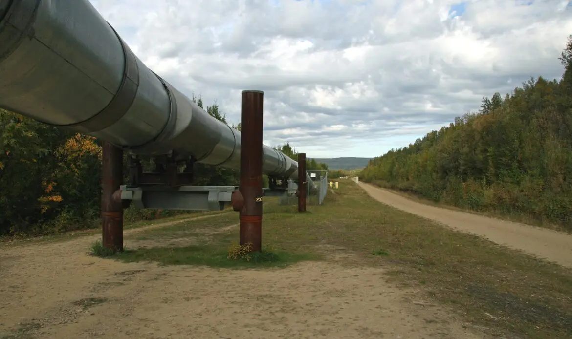 EU gas consumption to fall sharply