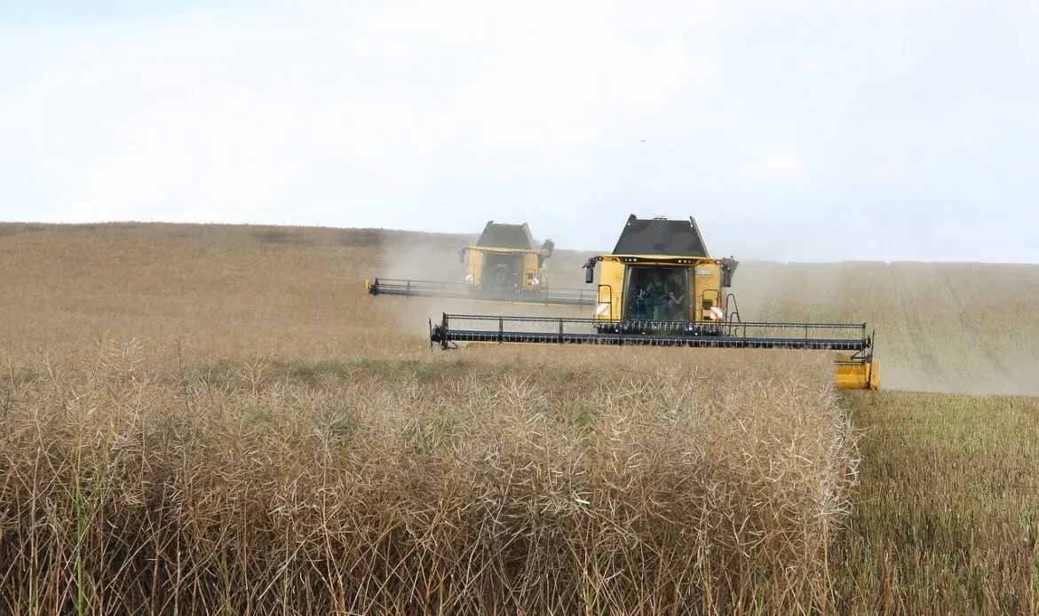 No decision has yet been taken on payment for Russian agricultural products
