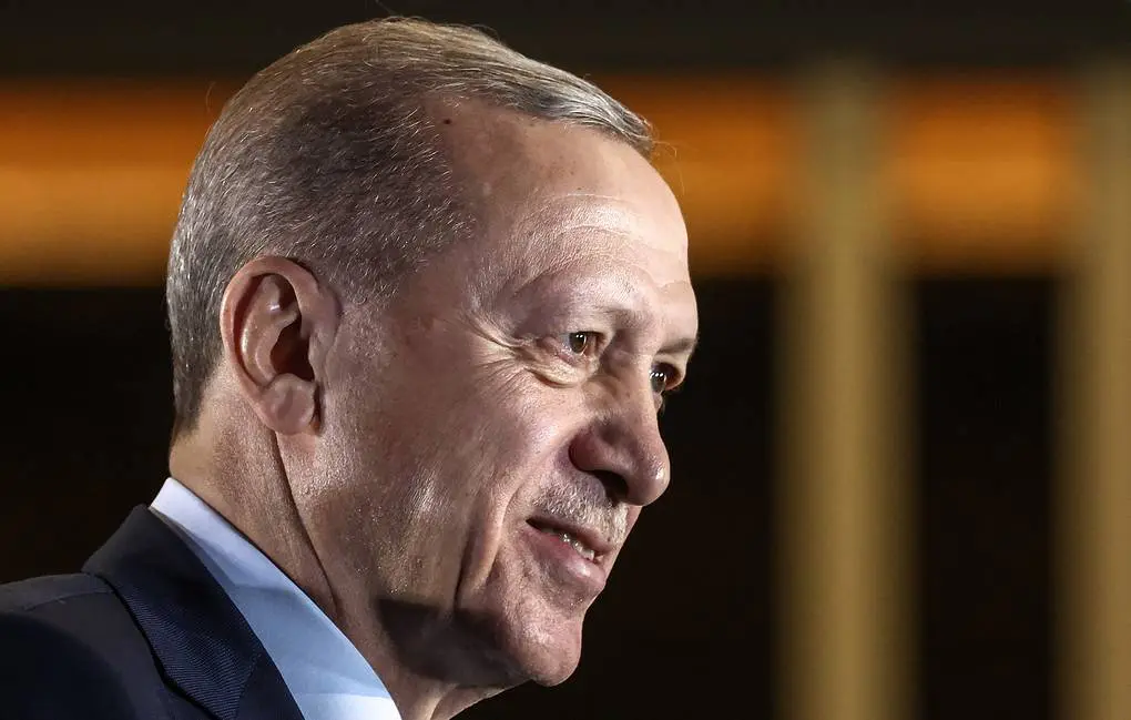 Erdogan says Putin voiced some proposals on grain deal, they are being discussed