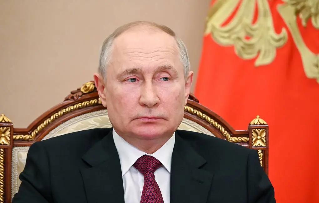 Russia’s Putin to participate online in all BRICS summit sessions — South Africa’s sherpa