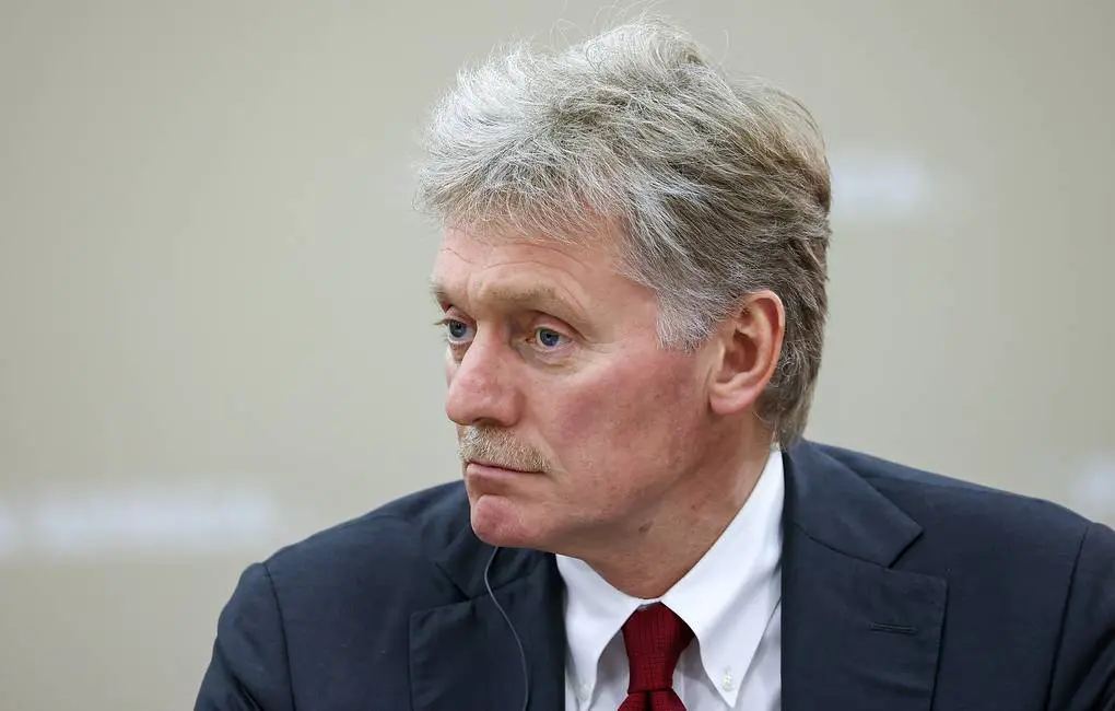 Russia wants to control territories fixed in its constitution — Kremlin spokesman