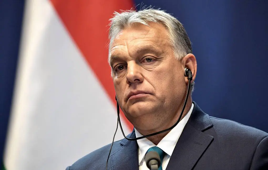 Hungarian companies want to expand work in Russia — Orban