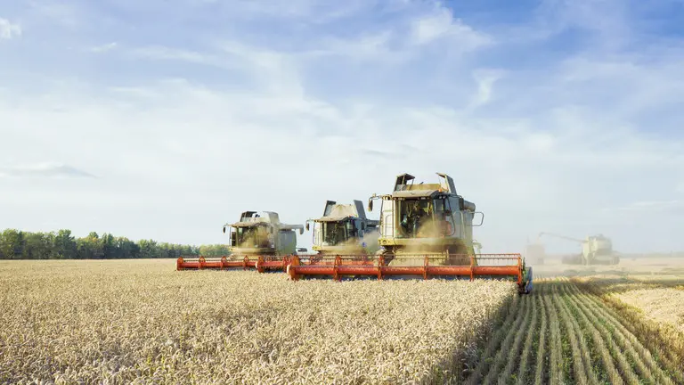 Russia’s grain harvest forecast upgraded