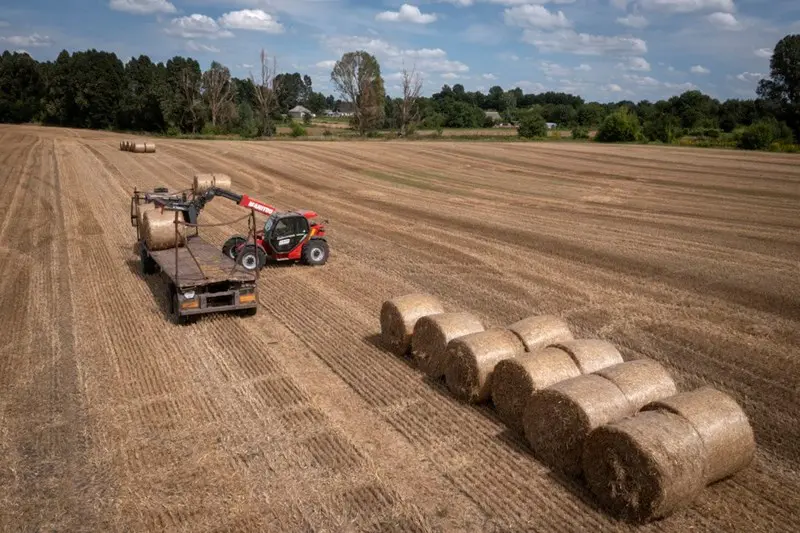 Still no dates set for purported talks on Grain Deal: Sources