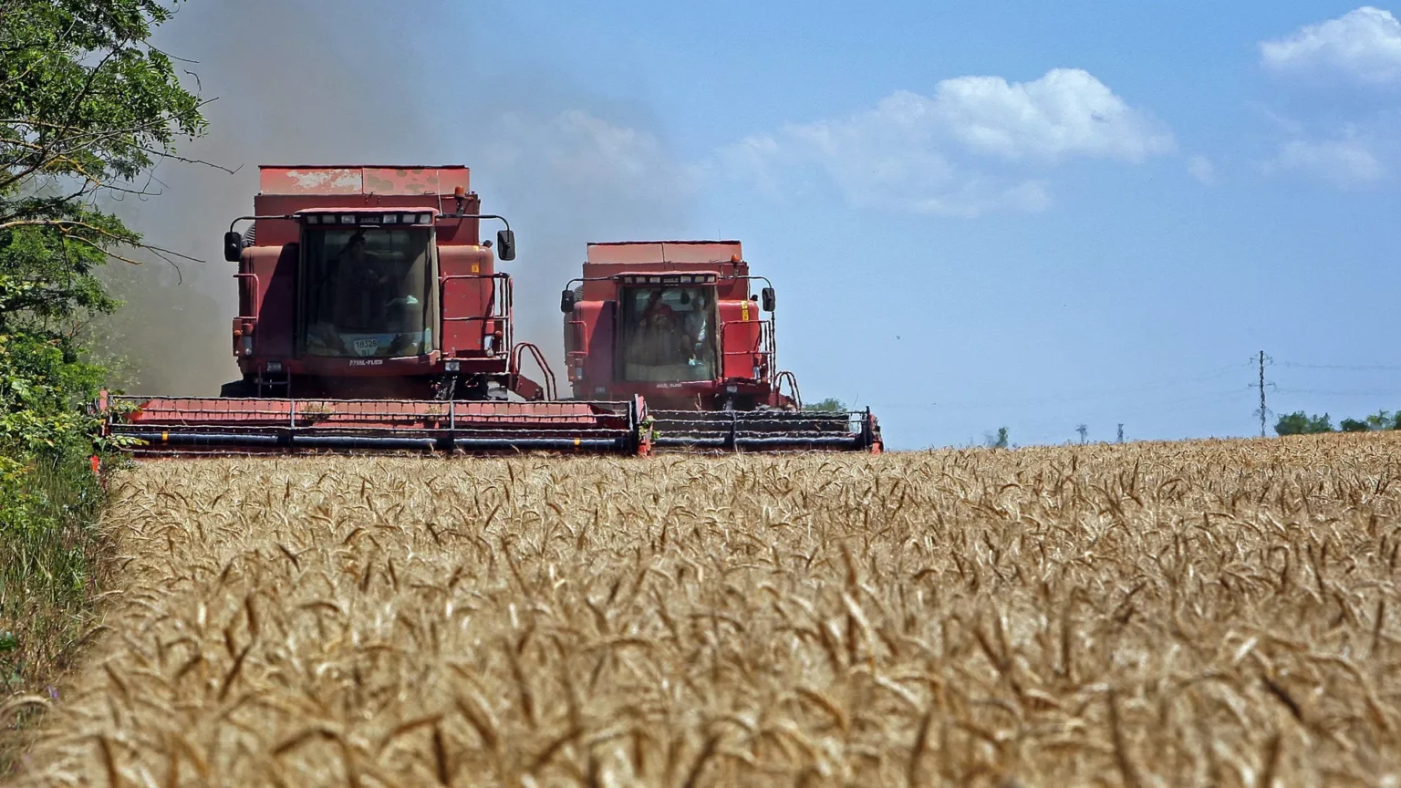 Russia enters the list of the largest grain suppliers to Brazil