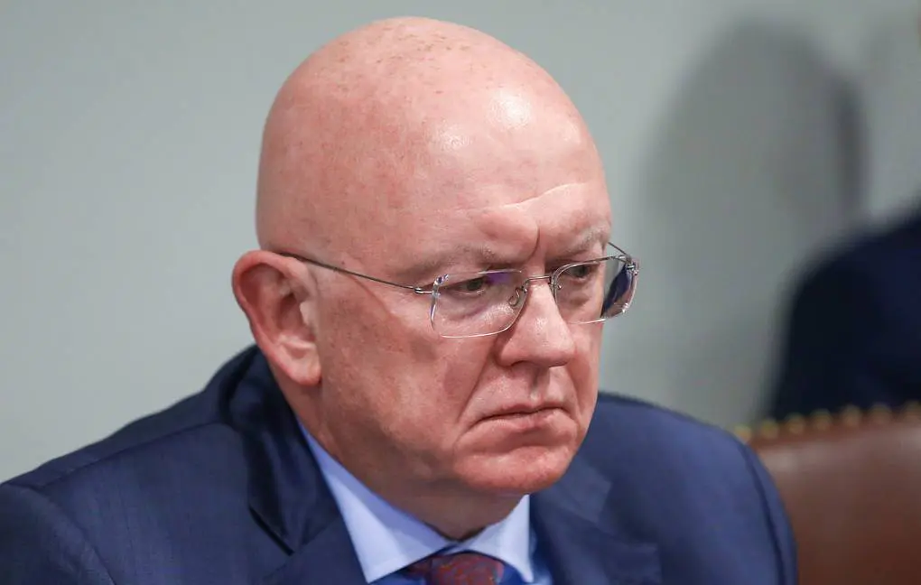 UNSC needs no new Western members — Russian diplomat