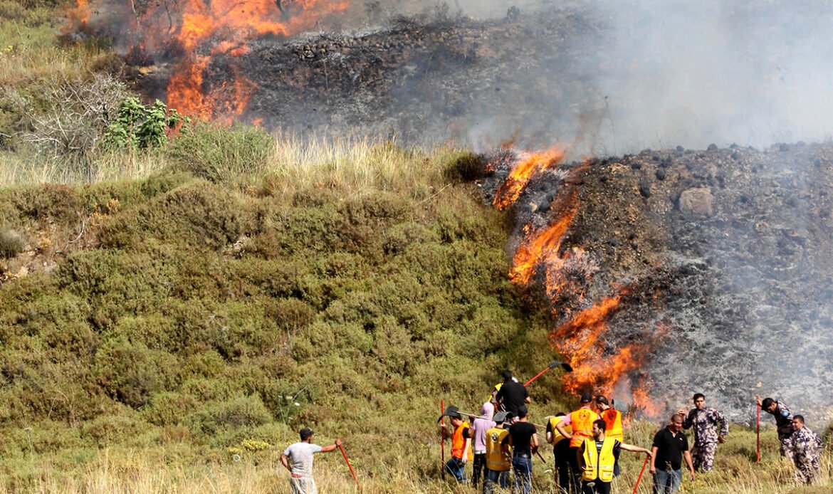 Israeli colonists set fire to agricultural land to the south of Nablus