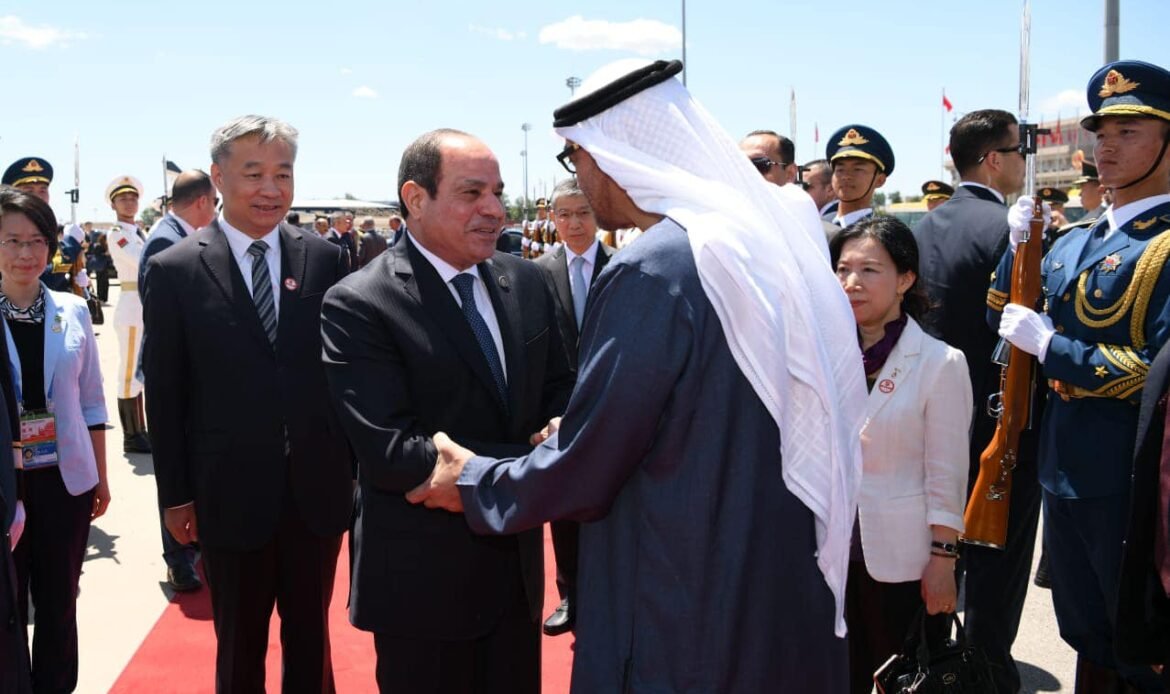 Sisi meets UAE counterpart on sidelines of China-Arab Forum
