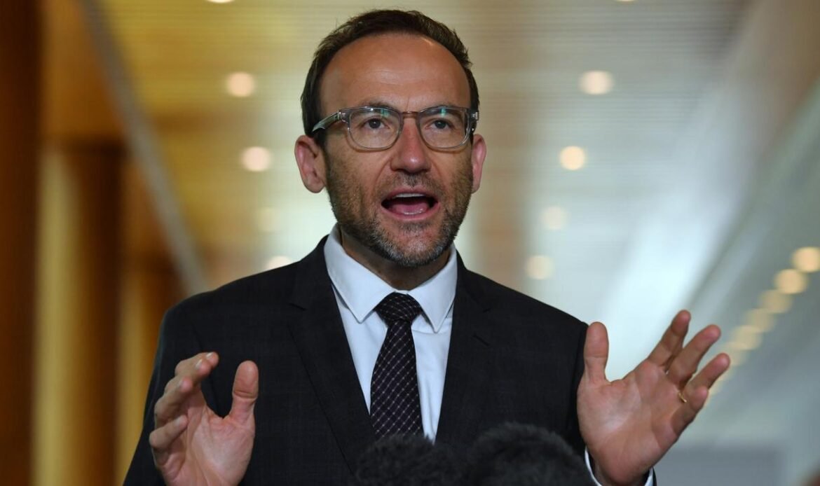 Australian Greens leader calls out Labor for ’empty words’ on Gaza