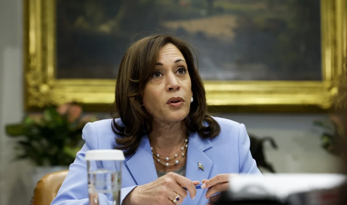 VP Harris presses Netanyahu at meeting for Gaza ceasefire