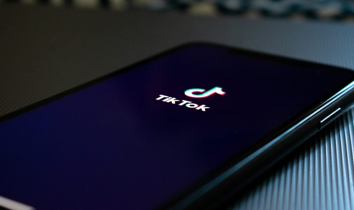 US defends law forcing sale of TikTok app