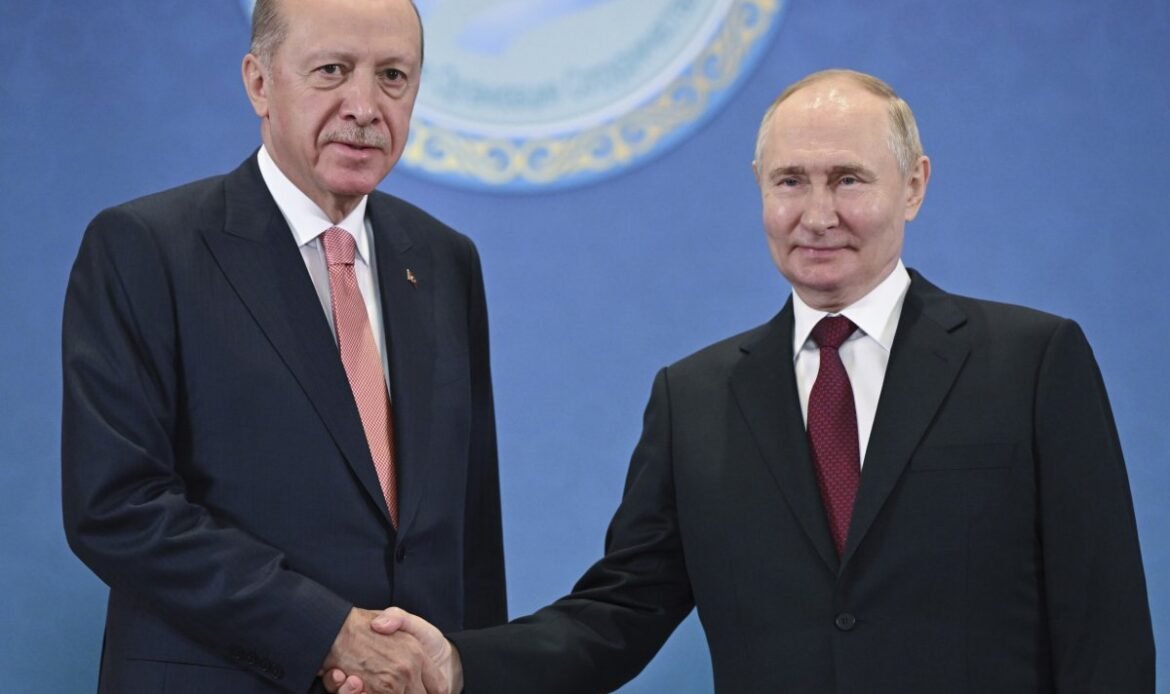 Turkey hopes for resumption of grain deal — president