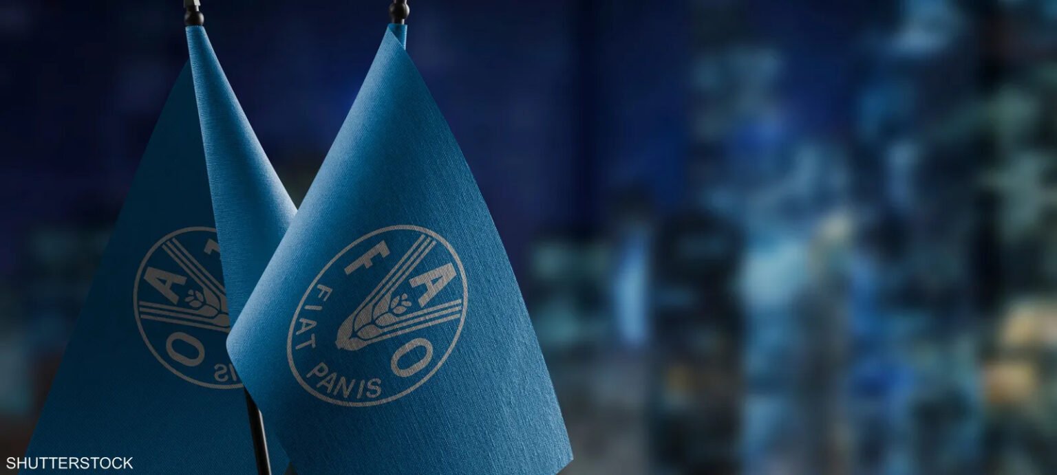 FAO Warns: La Niña Climate Phenomenon Threatens Millions with Acute Hunger FAO Logo