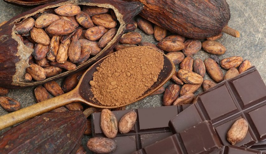 Climate Change Threatens Cocoa Farming A Looming Disaster