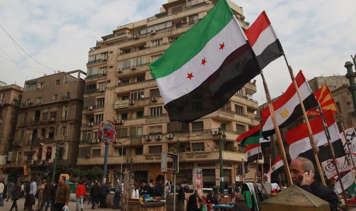 Egypt Supports Syria’s Unity and Sovereignty