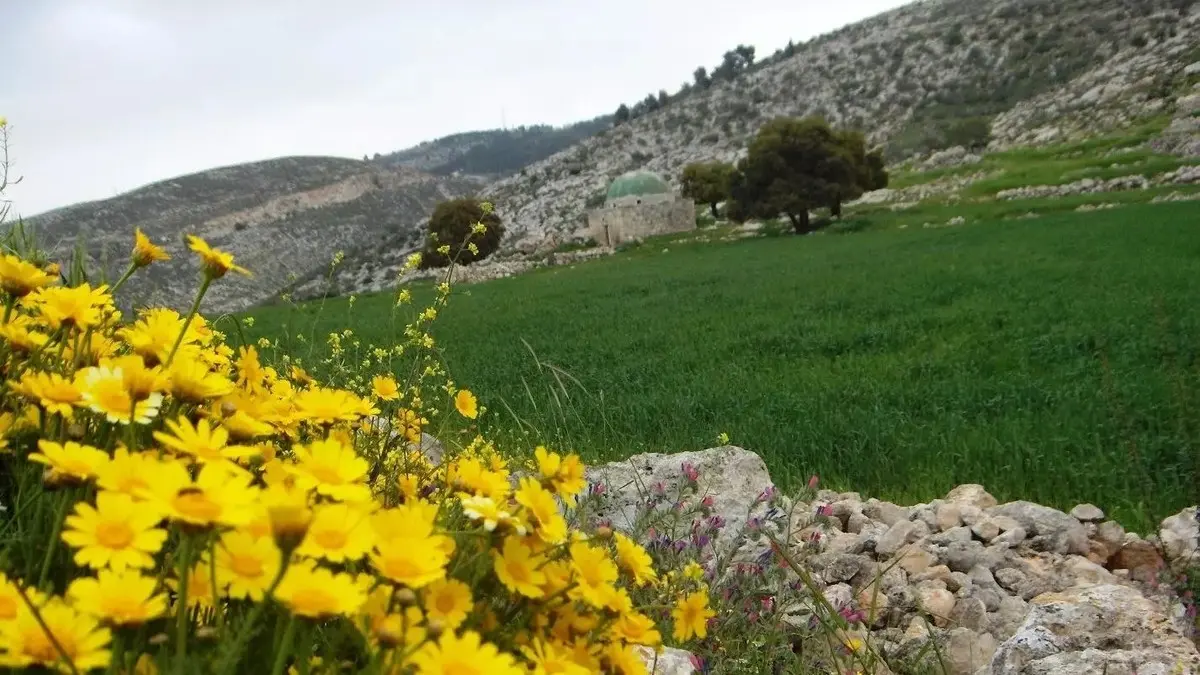 The Enchanting Arrival of Spring: A Cosmic Dance of Day and Night ...