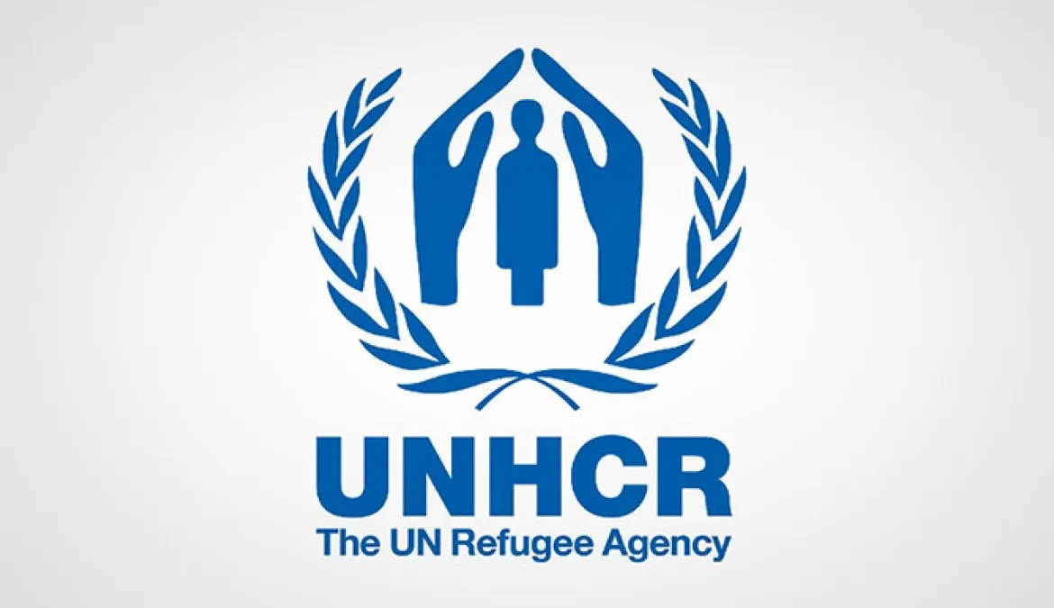 UNHCR Suspends Medical Aid in Egypt Amid Funding Crisis A Dire Situation for Refugees